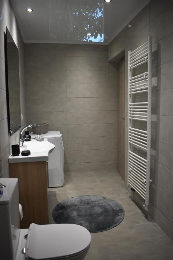 شقة Athina'S Cozy House Sfakianalion المظهر الخارجي الصورة