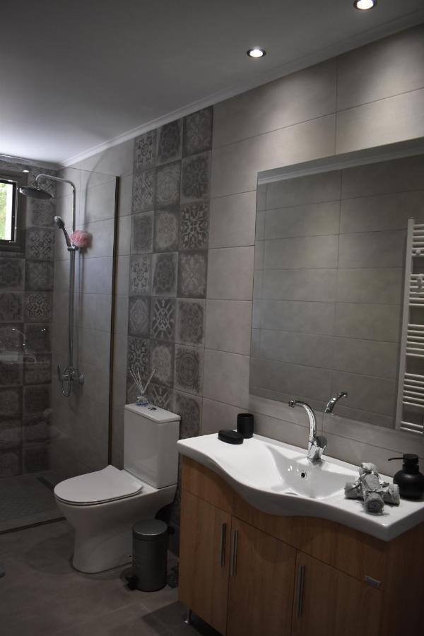 شقة Athina'S Cozy House Sfakianalion المظهر الخارجي الصورة